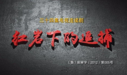 红岩下的追捕电视剧,潜伏与逆袭的生死较量